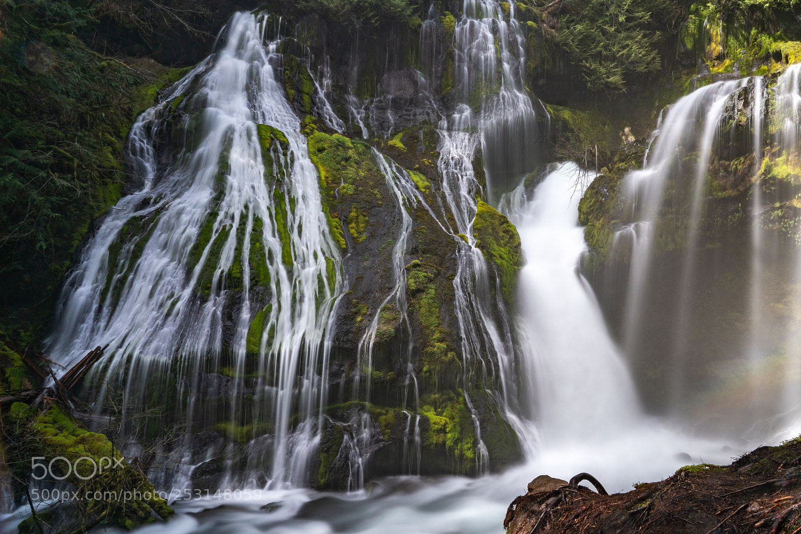Sony a7R III sample photo. Panther creek falls photography