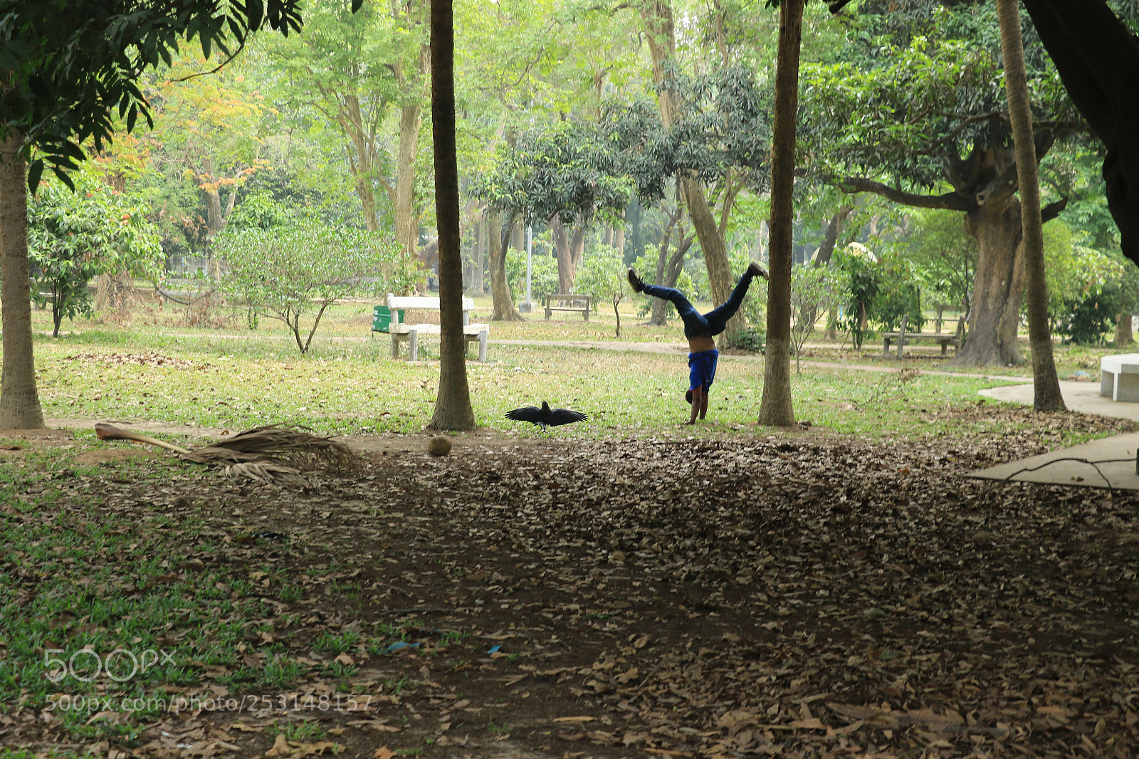Canon EOS 7D Mark II sample photo. Untitled photography