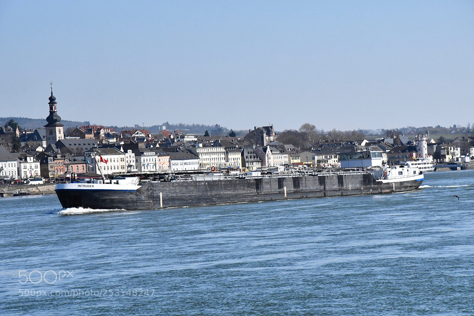 Nikon D7500 sample photo. Intruder at rüdesheim photography