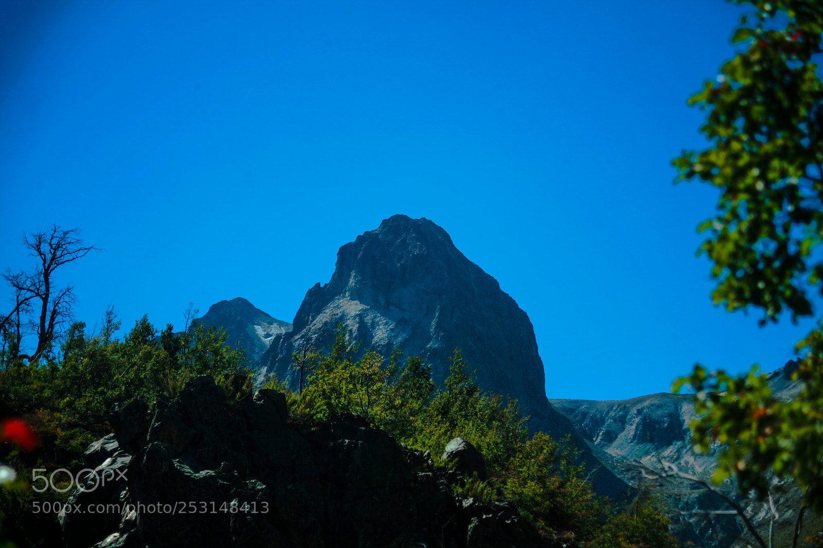 Canon EOS 5D sample photo. Untitled photography