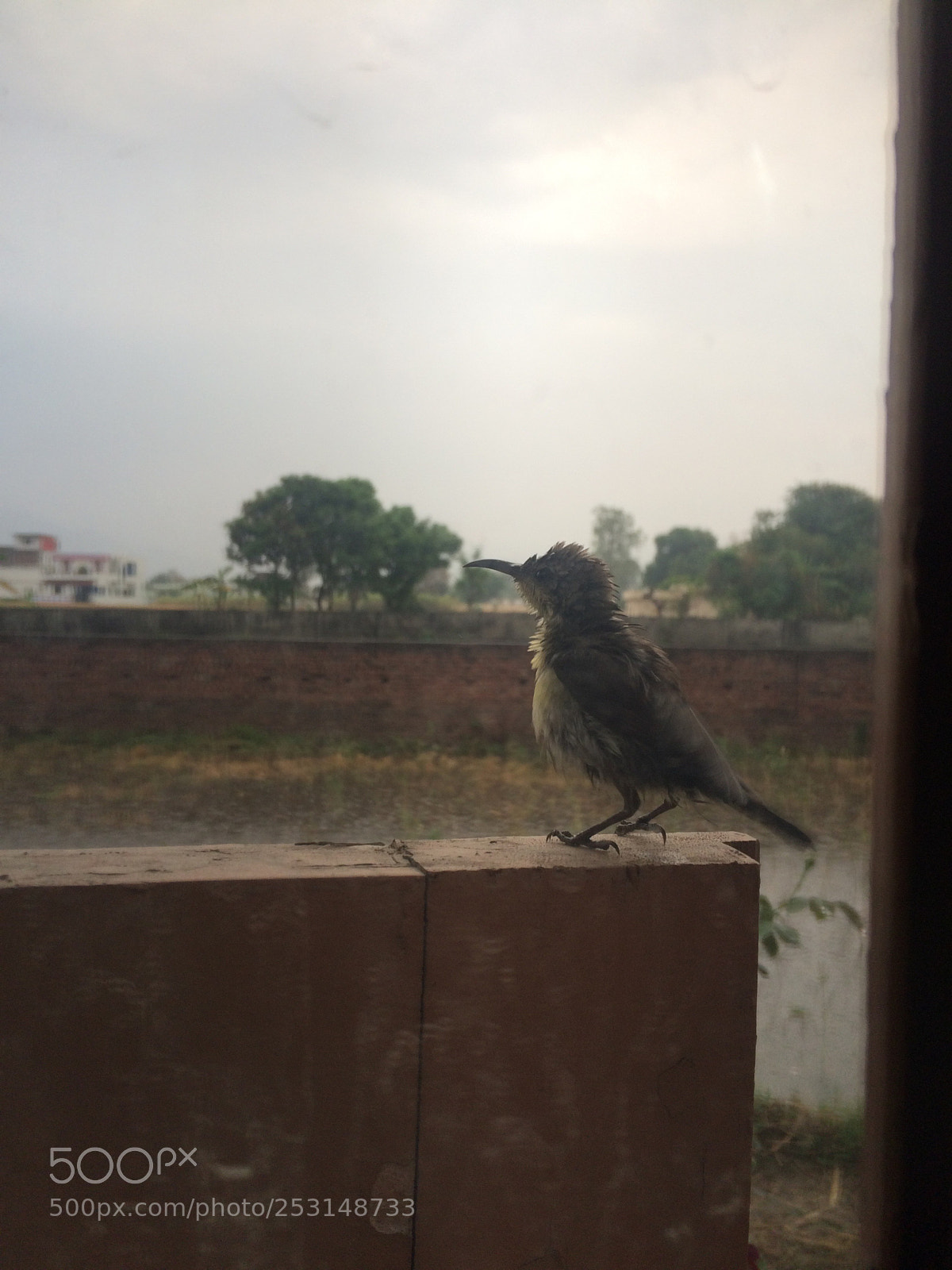 Apple iPhone 5s sample photo. Untitled photography