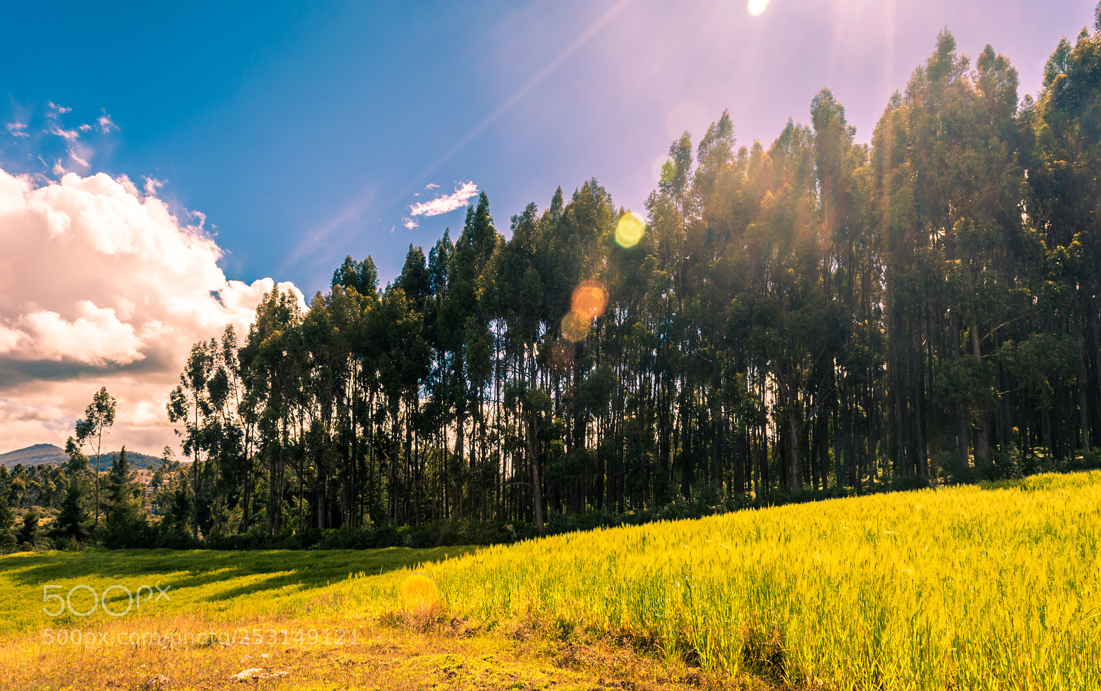 Nikon D5200 sample photo. Cusco photography