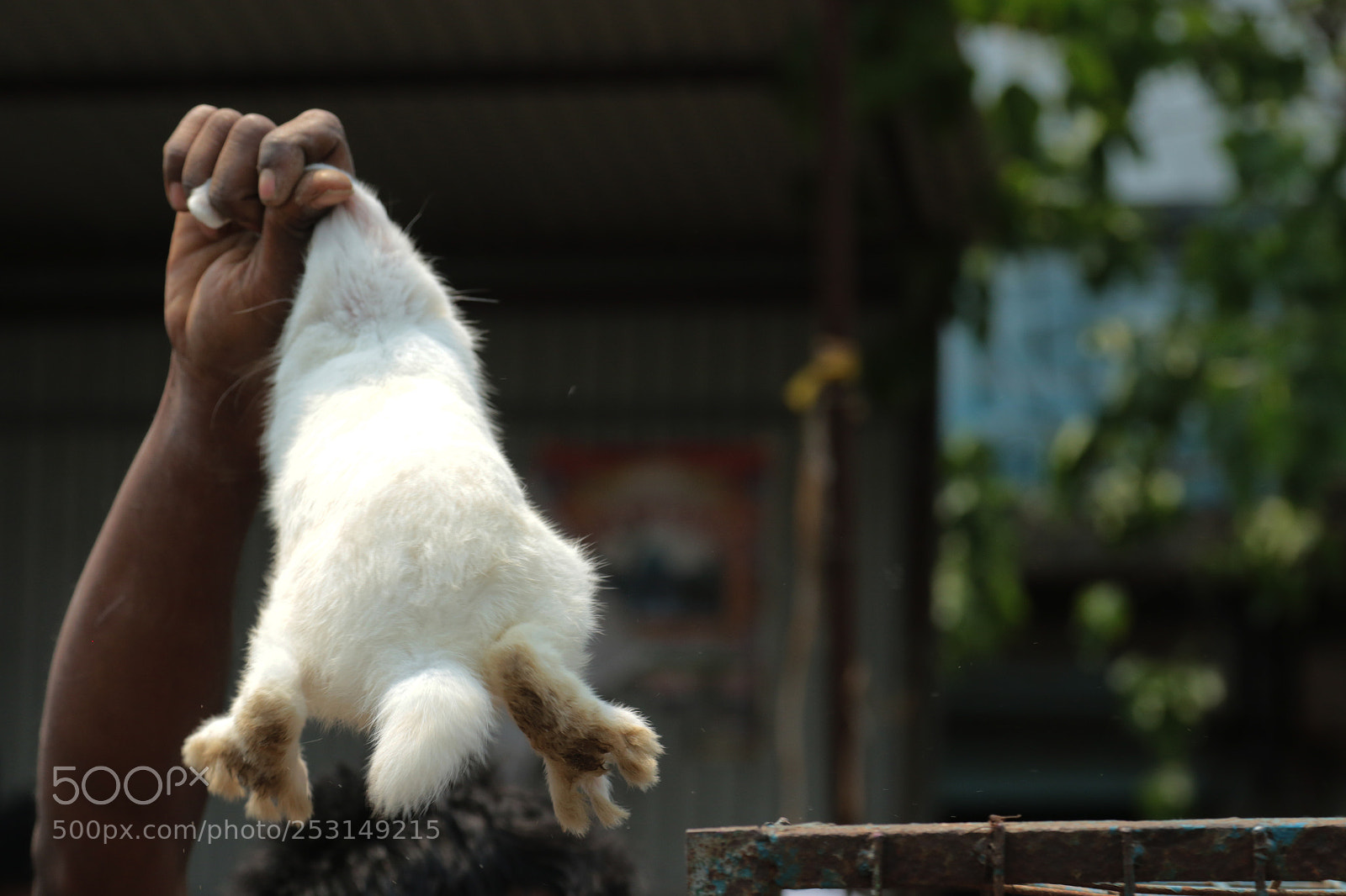 Canon EOS 7D Mark II sample photo. D photography