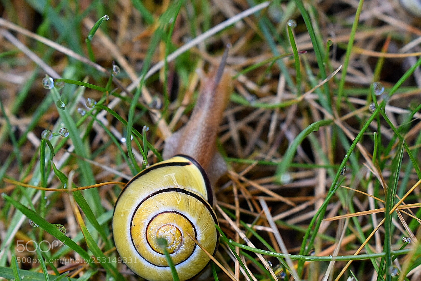 Nikon D3400 sample photo. Untitled photography