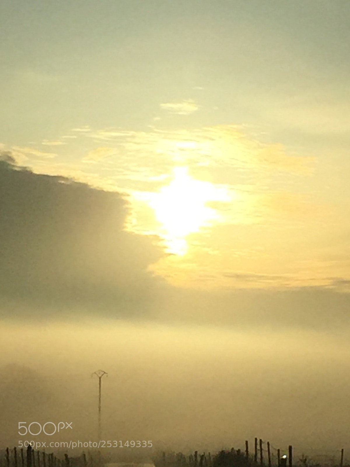 Apple iPhone 6 sample photo. Brume photography
