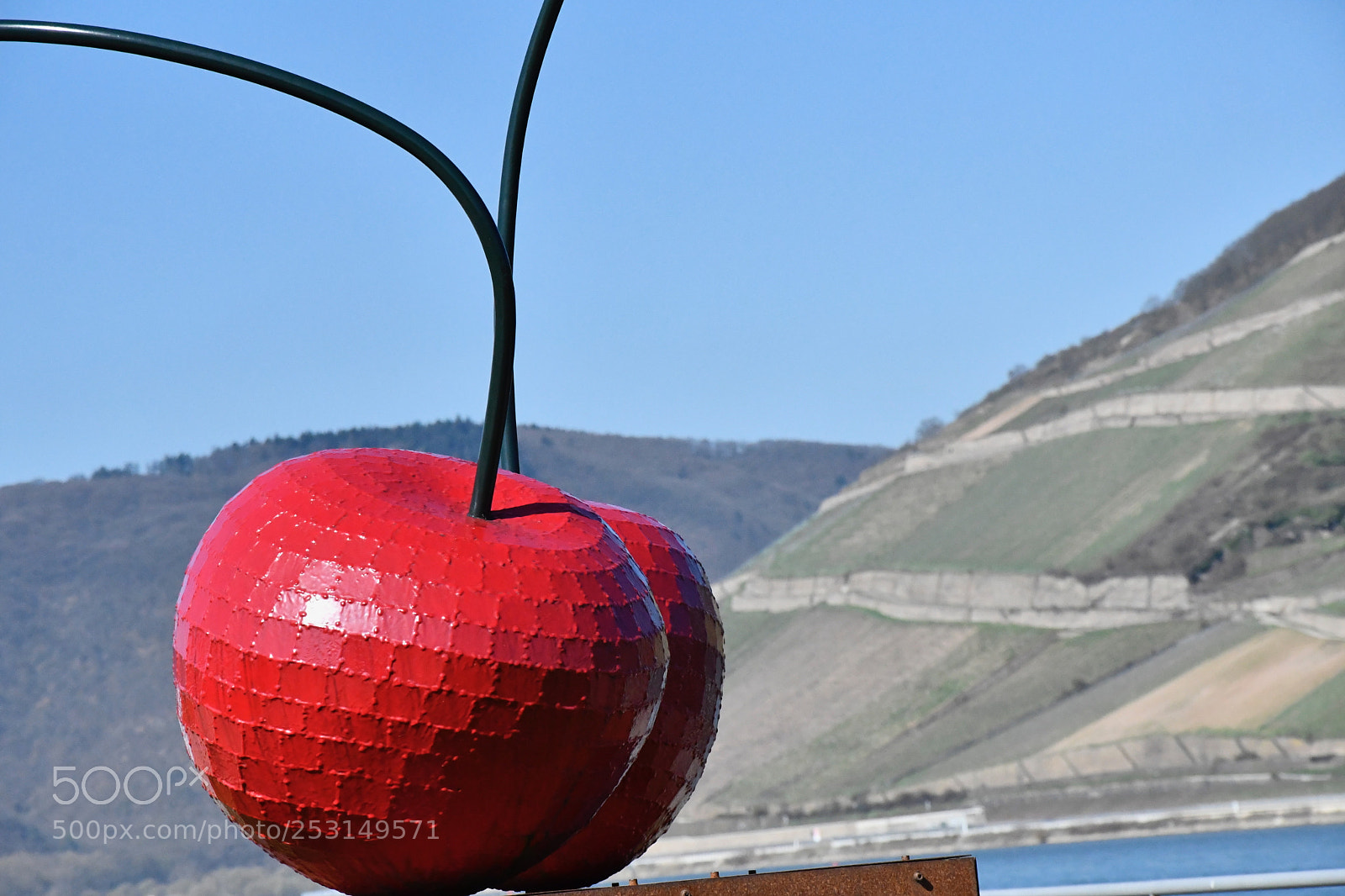 Nikon D7500 sample photo. Cherry art photography