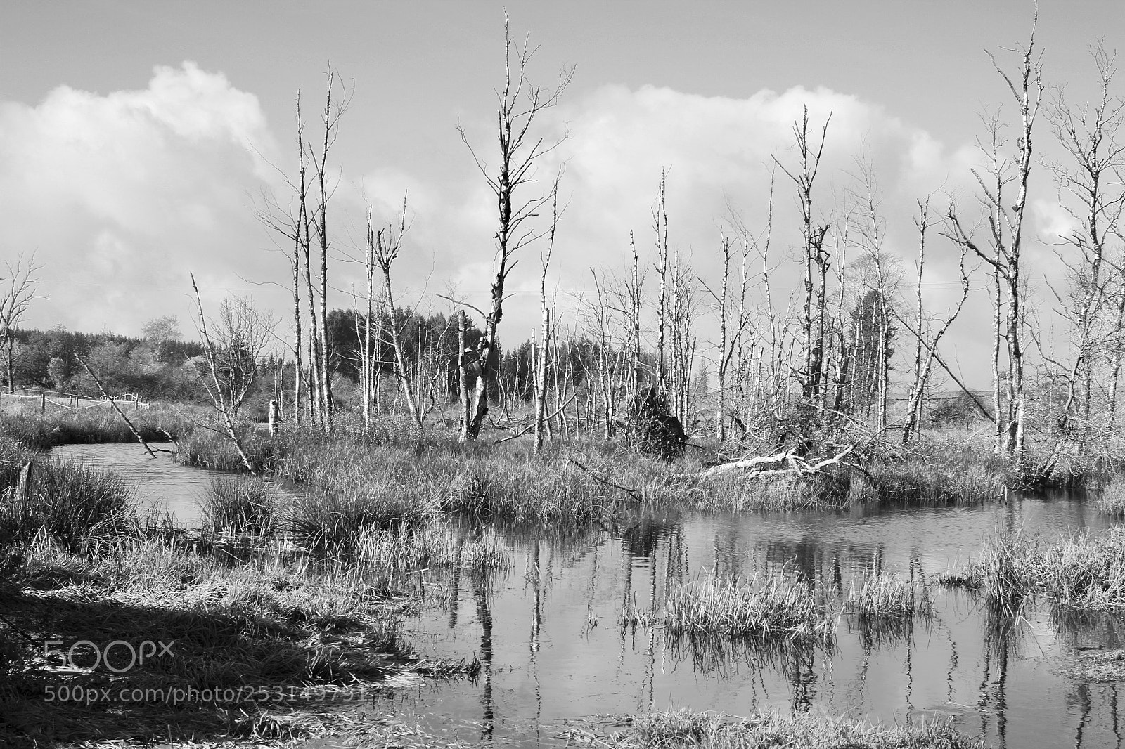 Canon EOS 650D (EOS Rebel T4i / EOS Kiss X6i) sample photo. Ardennes photography