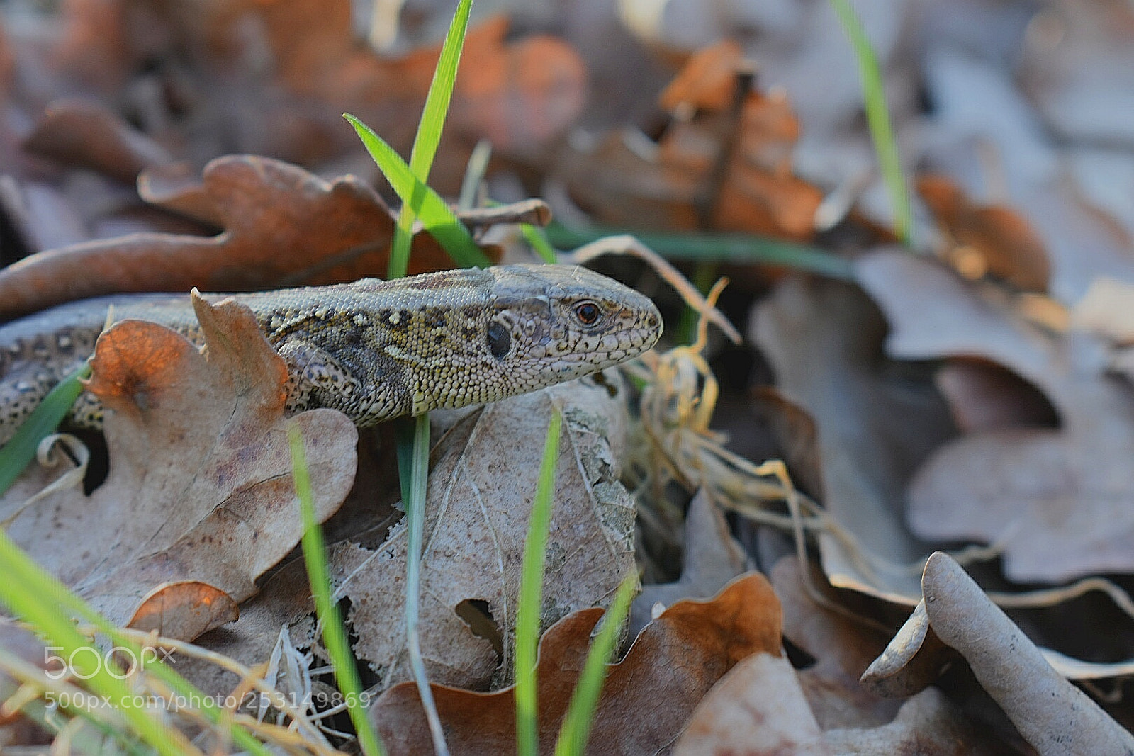 Nikon D3400 sample photo. Untitled photography