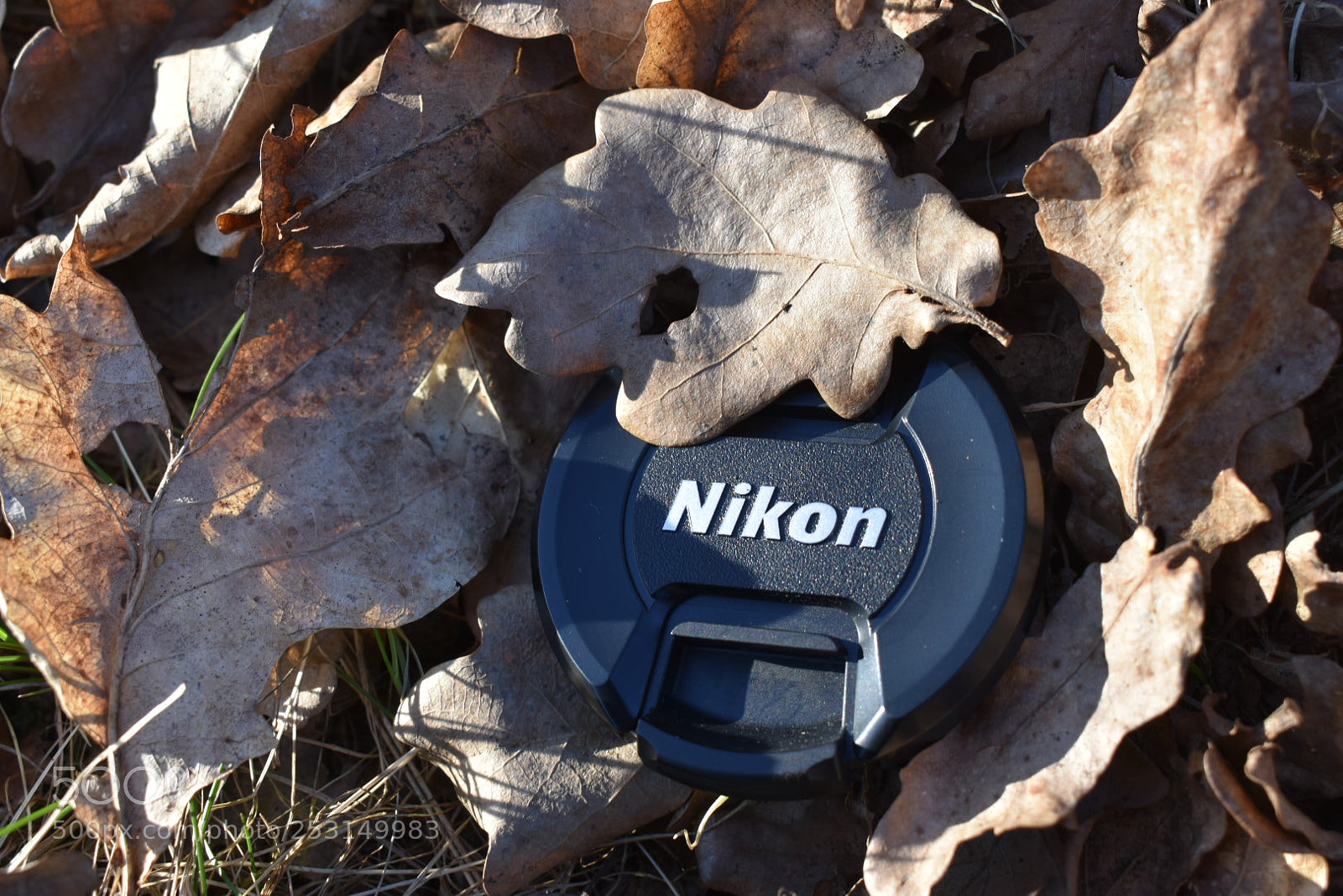 Nikon D3400 sample photo. Untitled photography