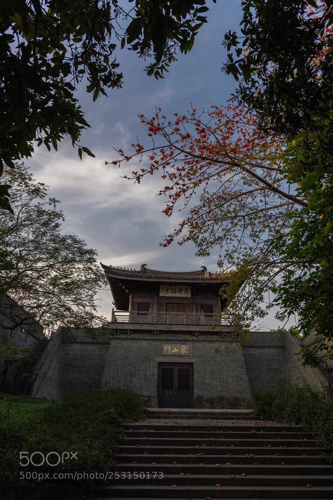 Nikon D7100 sample photo. Untitled photography