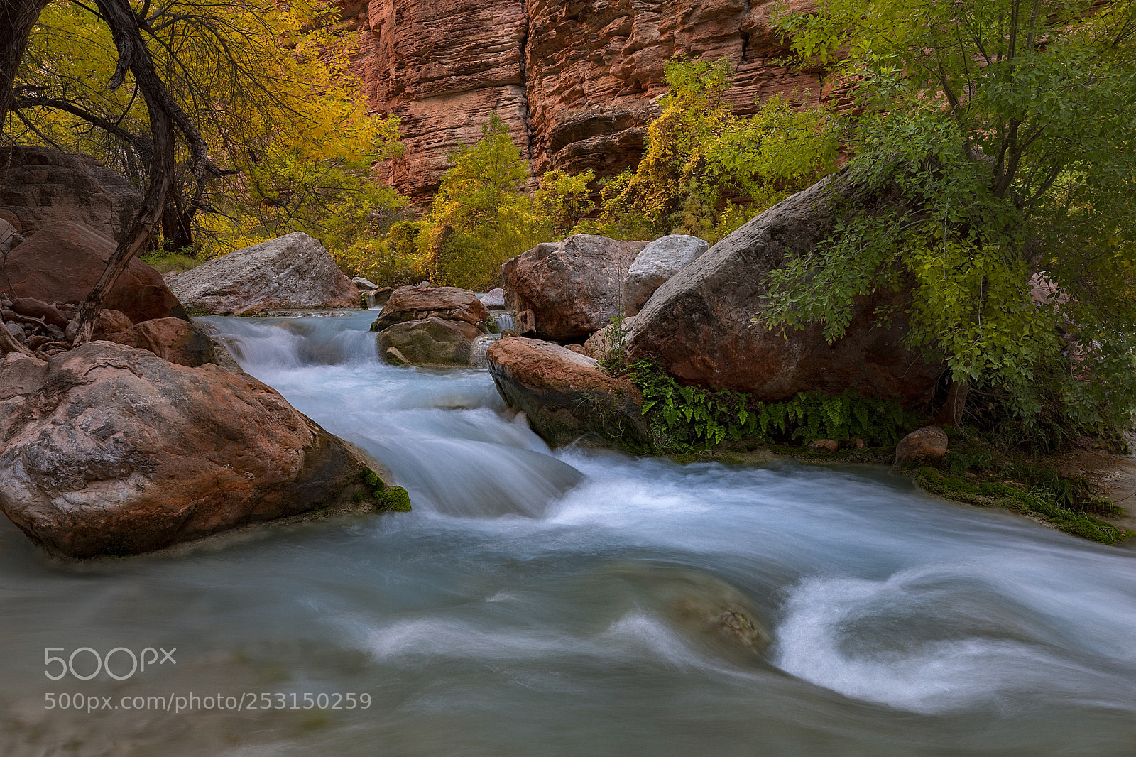 Canon EOS 5D Mark IV sample photo. Downstream rush photography