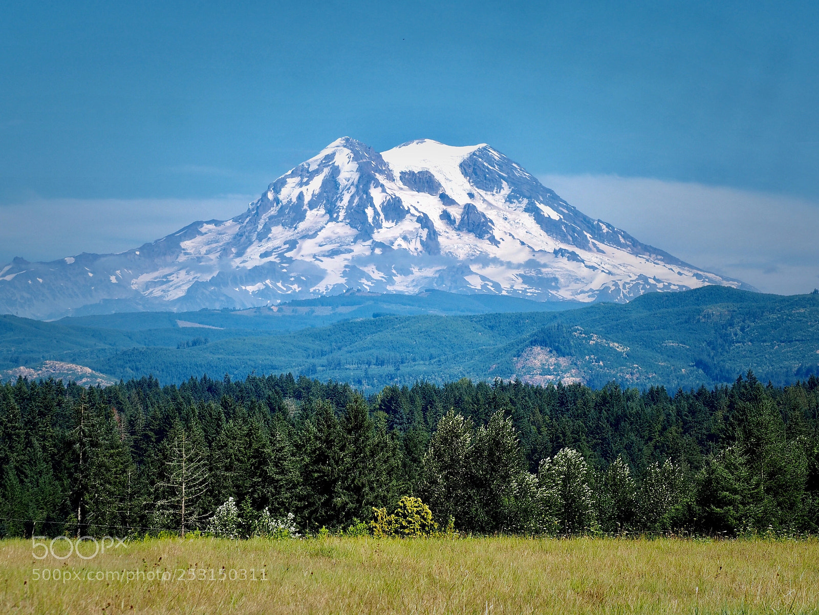 Olympus OM-D E-M10 sample photo. Mt. rainier  photography