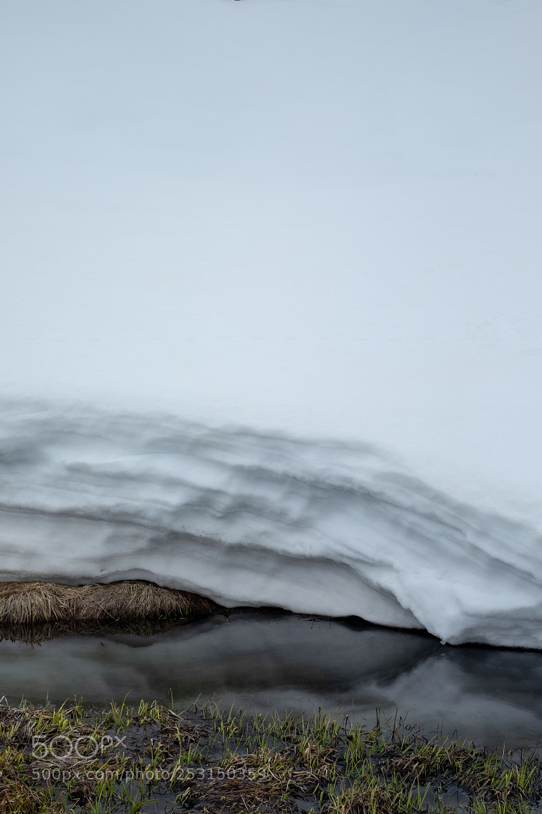 Fujifilm X-T1 sample photo. Spring meets winter photography