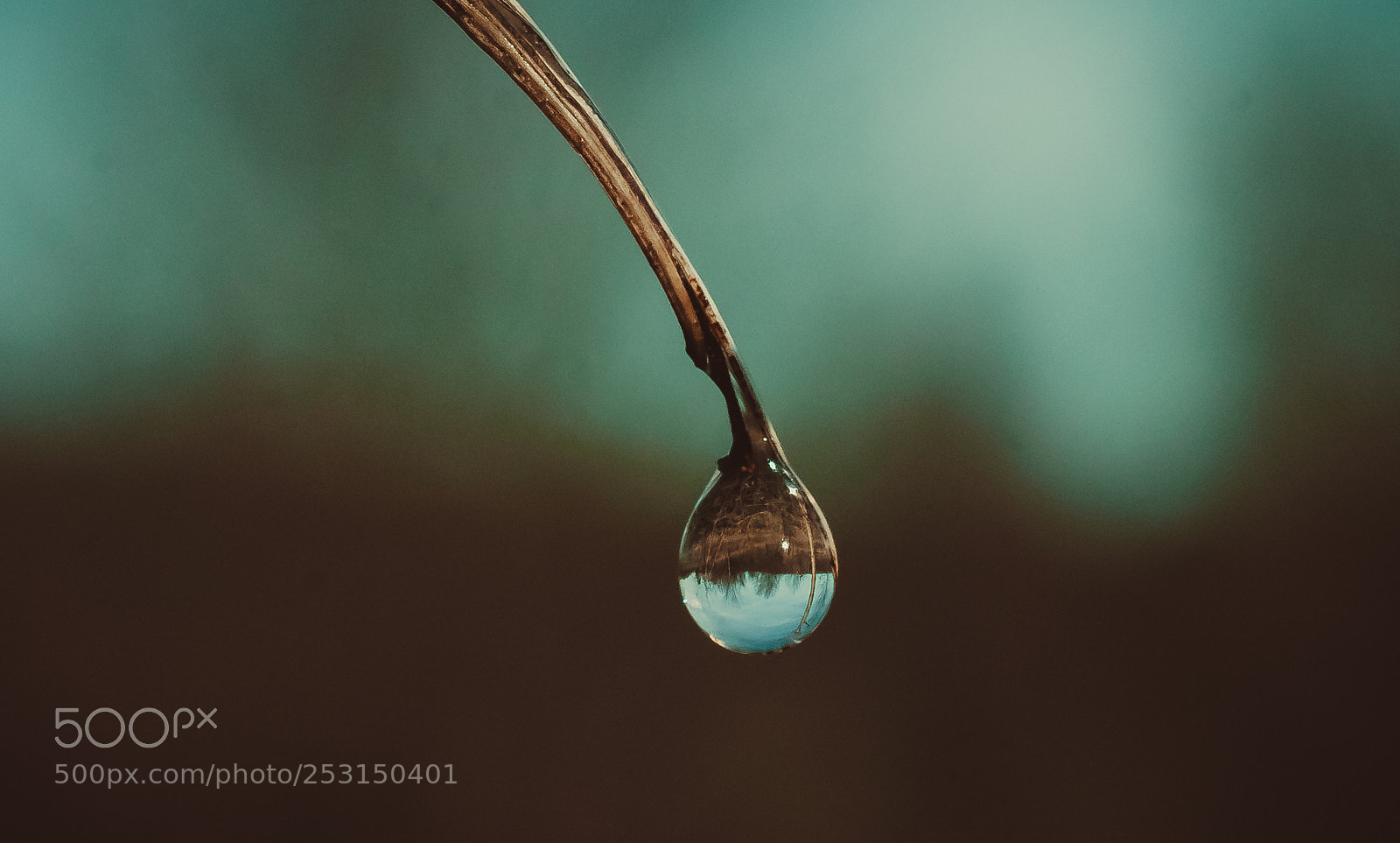 Nikon D7000 sample photo. La goutte photography