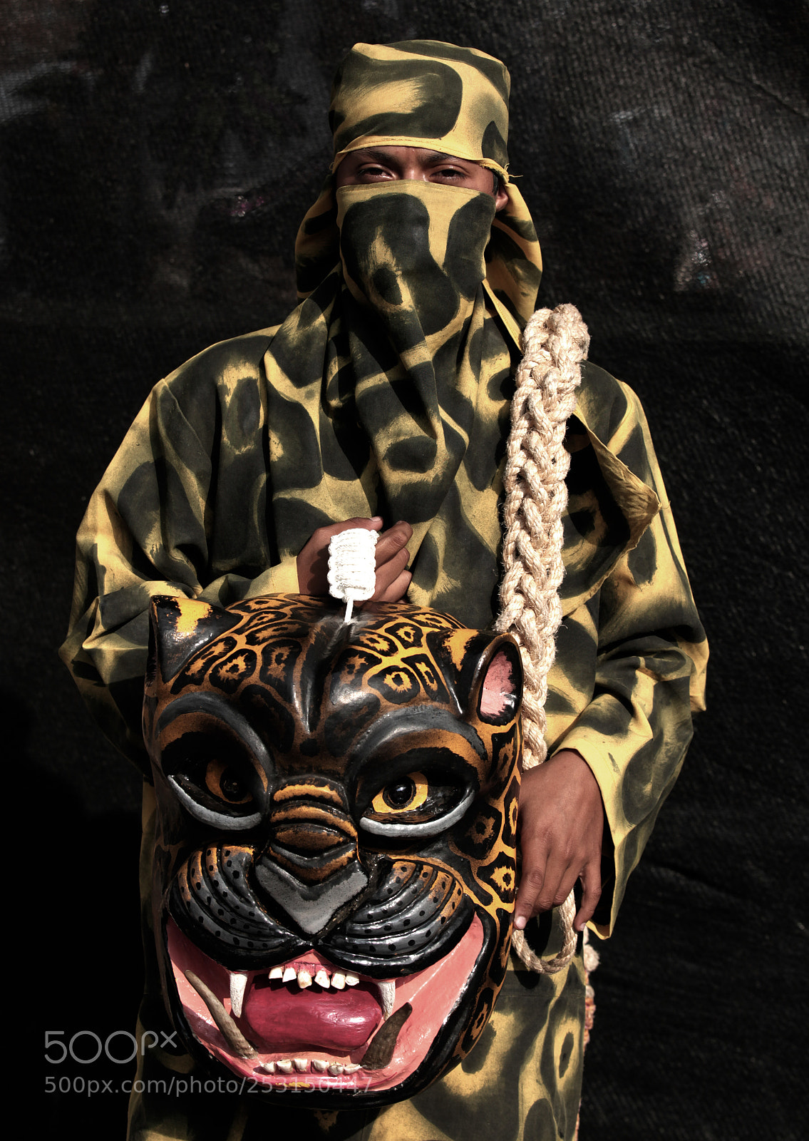 Canon EOS 5D Mark II sample photo. Caballero tigre photography