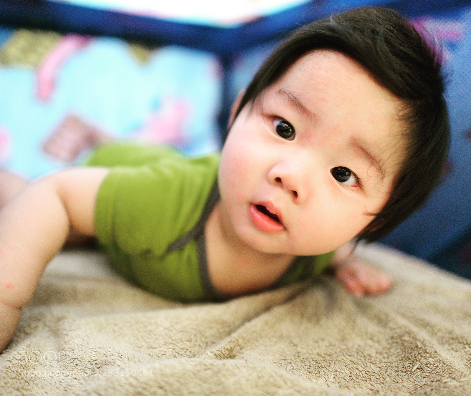 Nikon D800 sample photo. Untitled photography