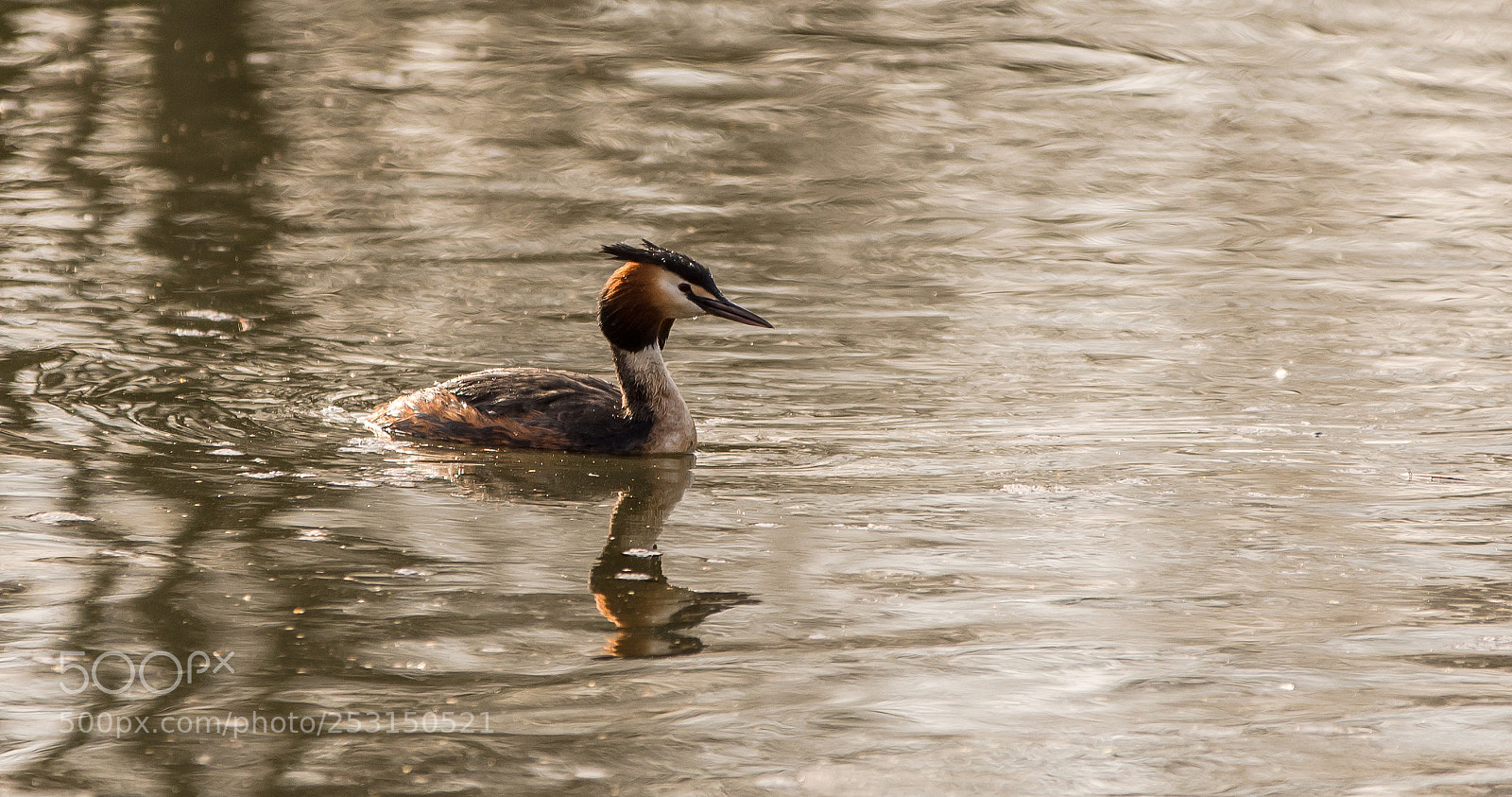Nikon D7200 sample photo. Grêpe upée photography
