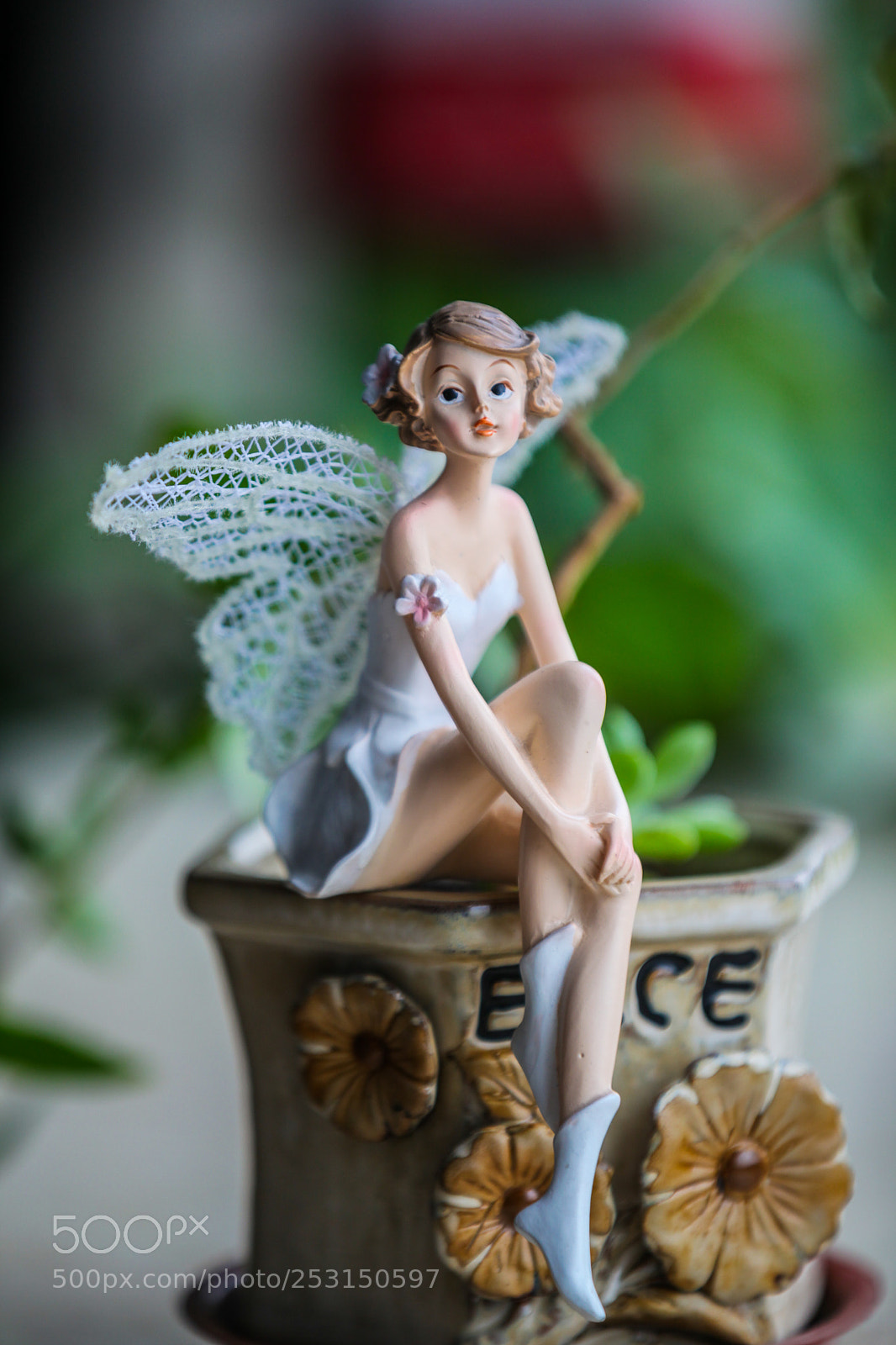 Canon EOS 5D Mark II sample photo. Img photography