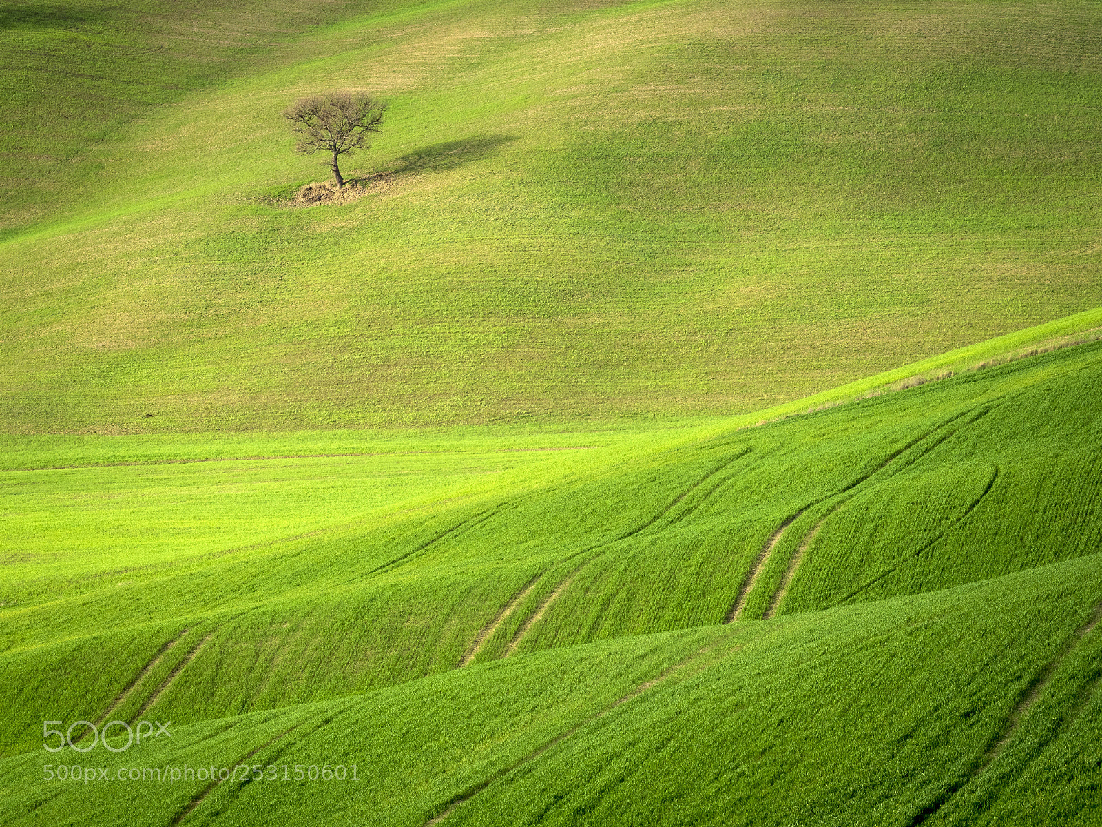 Olympus OM-D E-M1 Mark II sample photo. Toscana photography