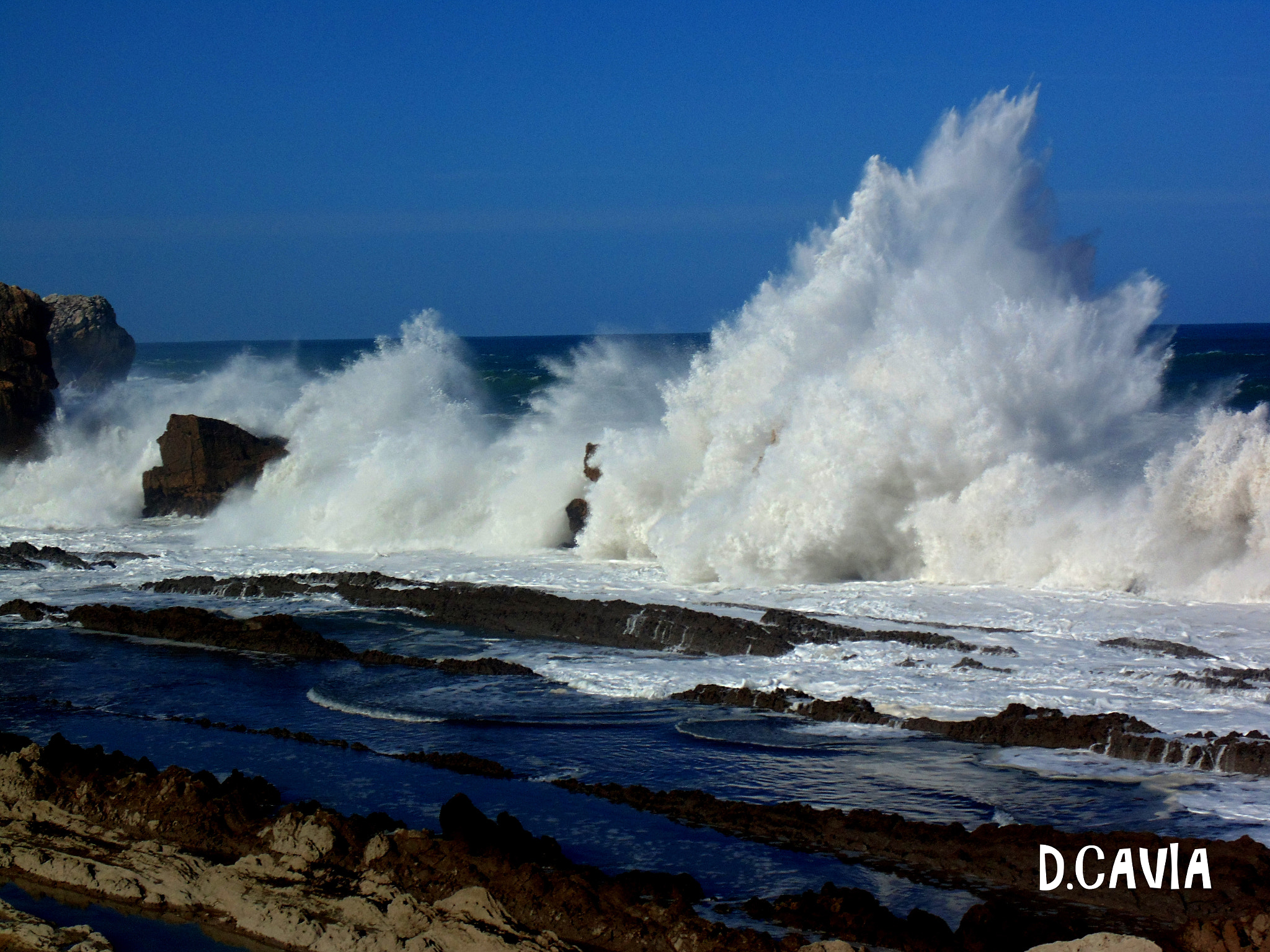 Sony Cyber-shot DSC-H200 sample photo. Brave sea photography