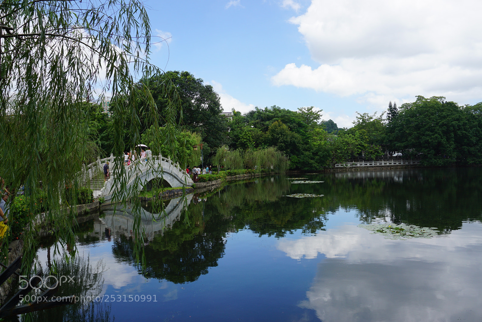 Sony a5100 sample photo. Untitled photography