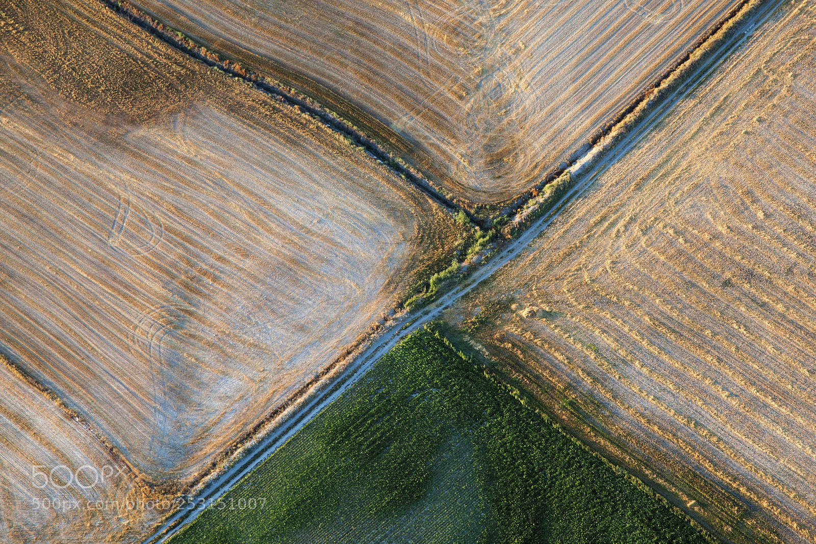 Canon EOS 5D Mark II sample photo. View from above photography