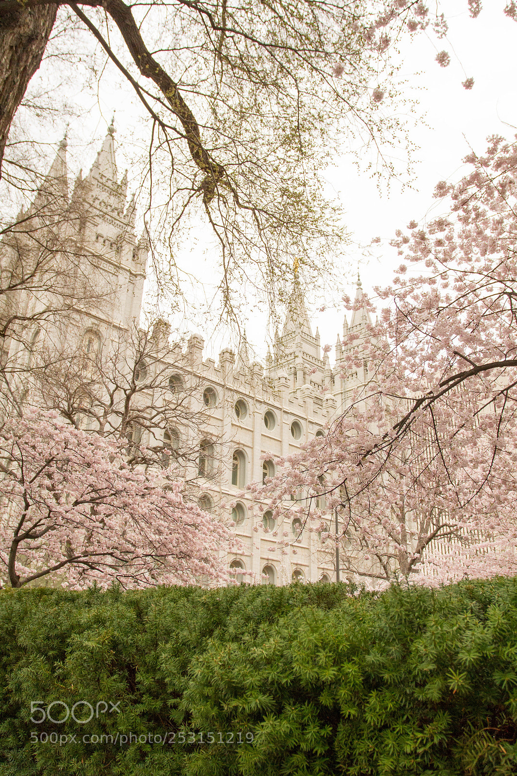 Canon EOS 7D sample photo. Salt lake city photography