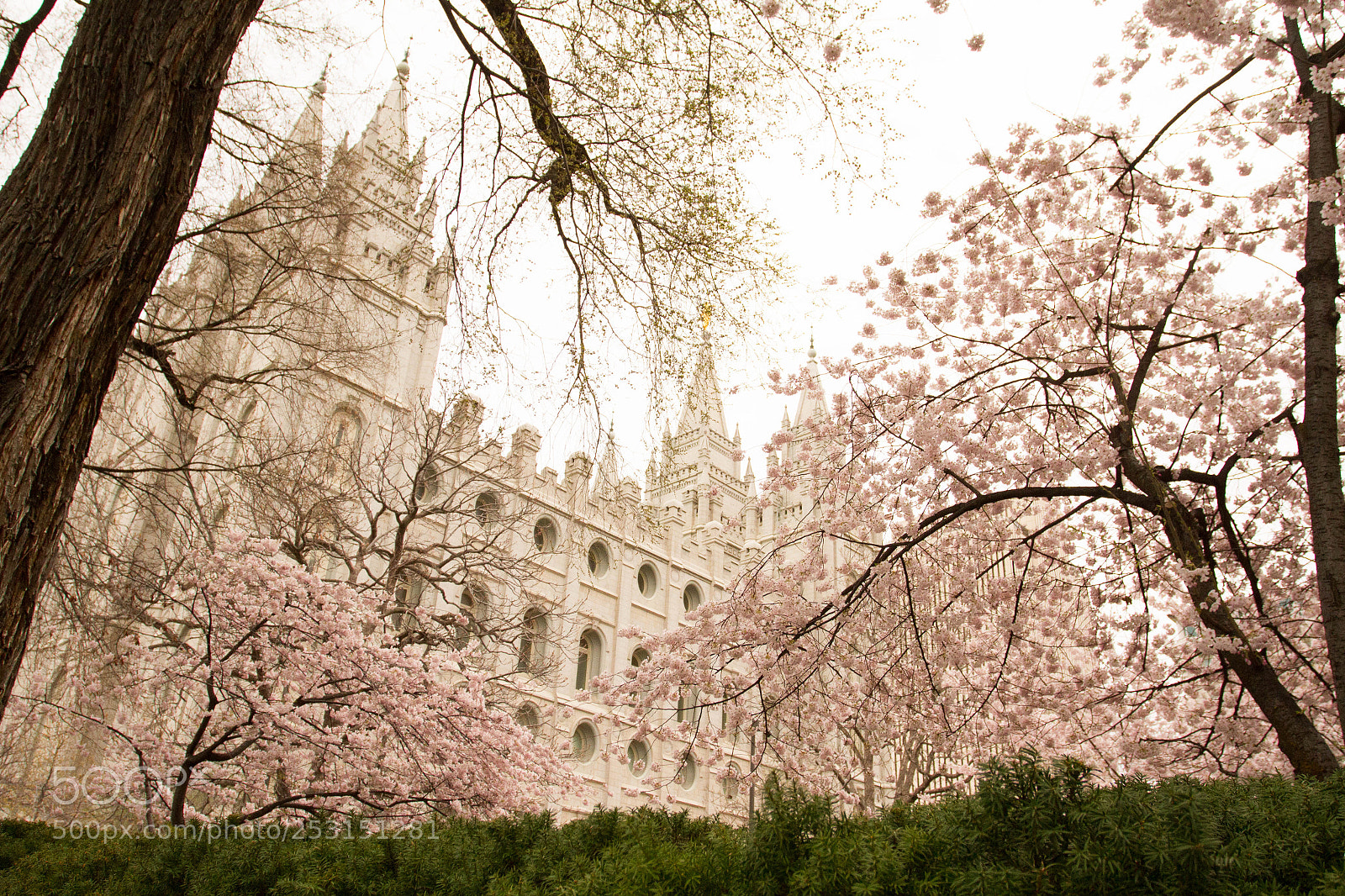 Canon EOS 7D sample photo. Salt lake city photography