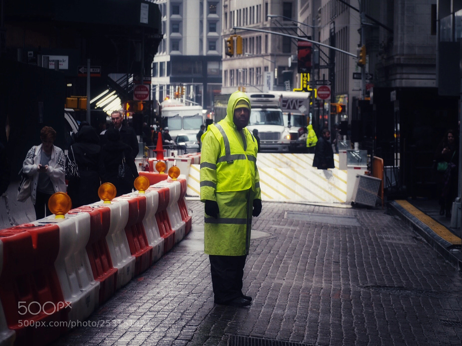 Olympus OM-D E-M10 sample photo. Fluorescent  photography