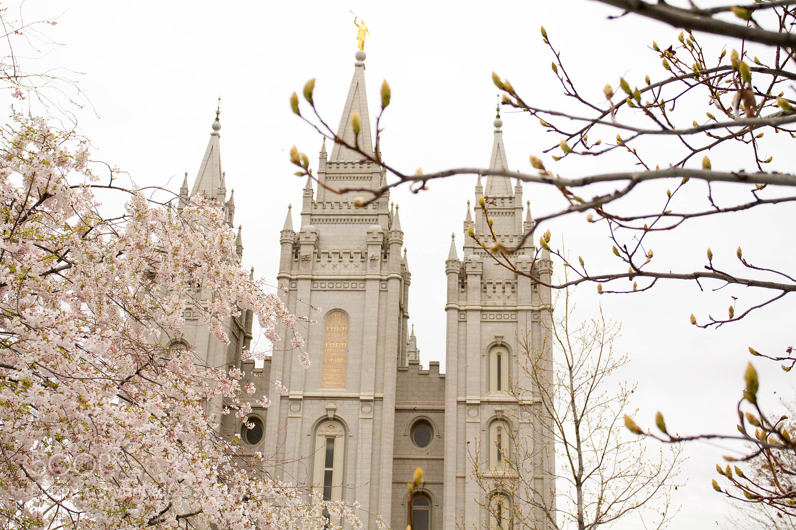 Canon EOS 7D sample photo. Salt lake city photography