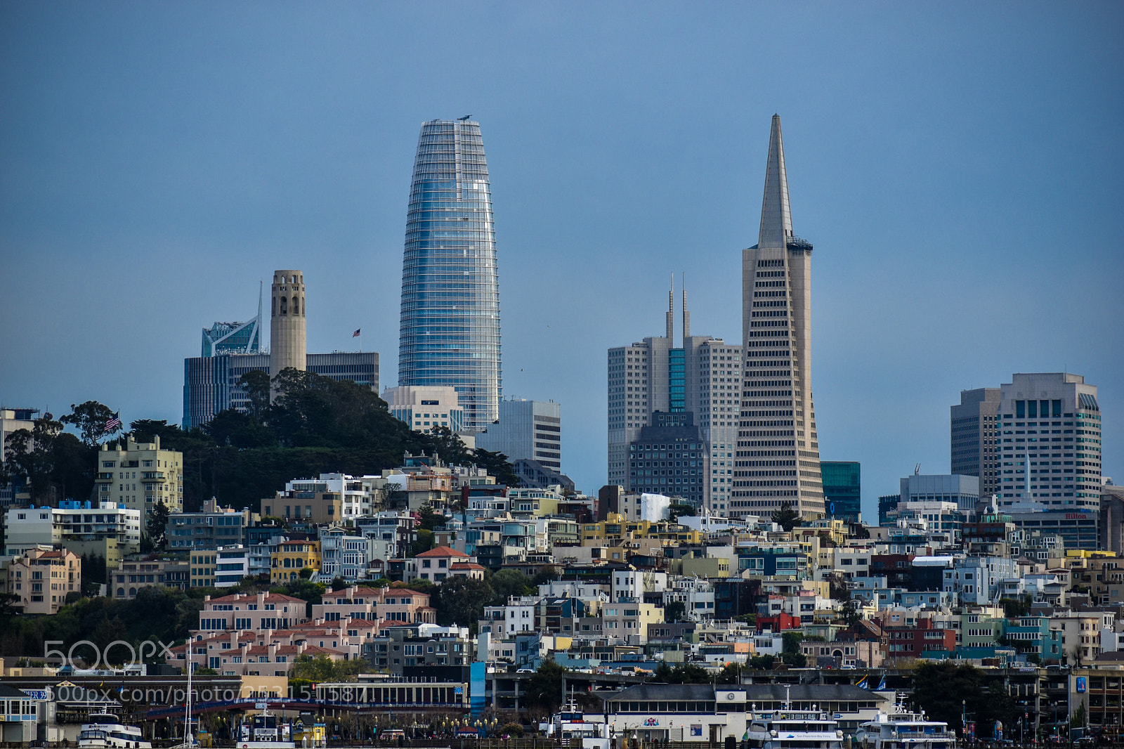 Nikon D5600 sample photo. First and second photography