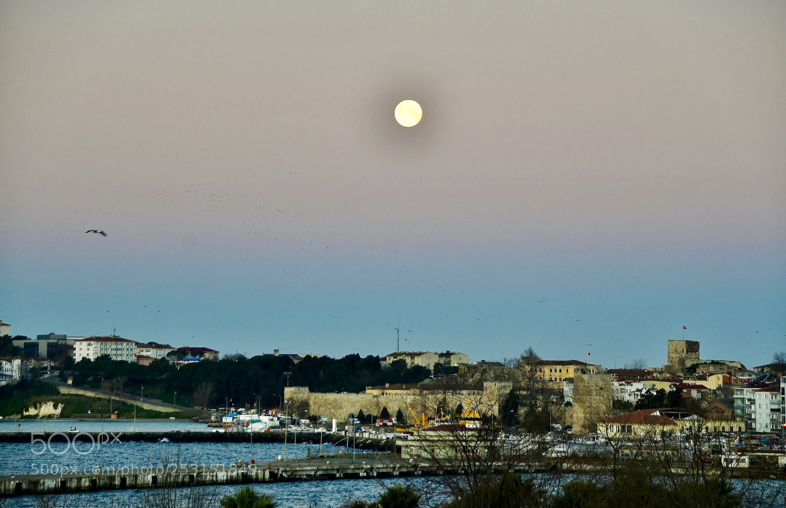 Nikon D7000 sample photo. Misty morning & full moon photography