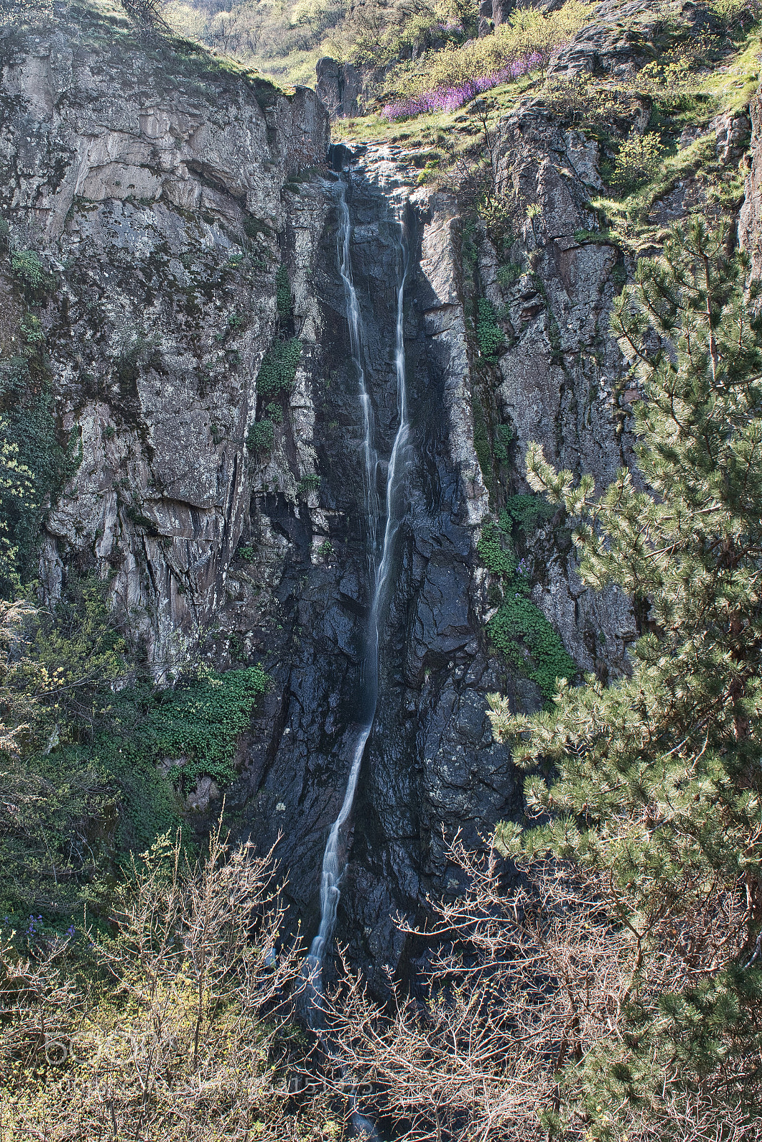 Nikon D5600 sample photo. A waterfall near the photography