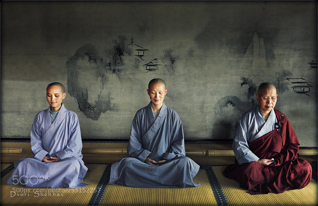 Canon EOS 5D Mark II sample photo. Silence is golden photography