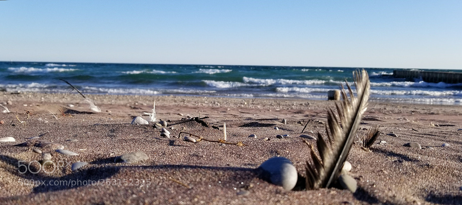 Samsung Galaxy S8+ sample photo. Feathers of water photography