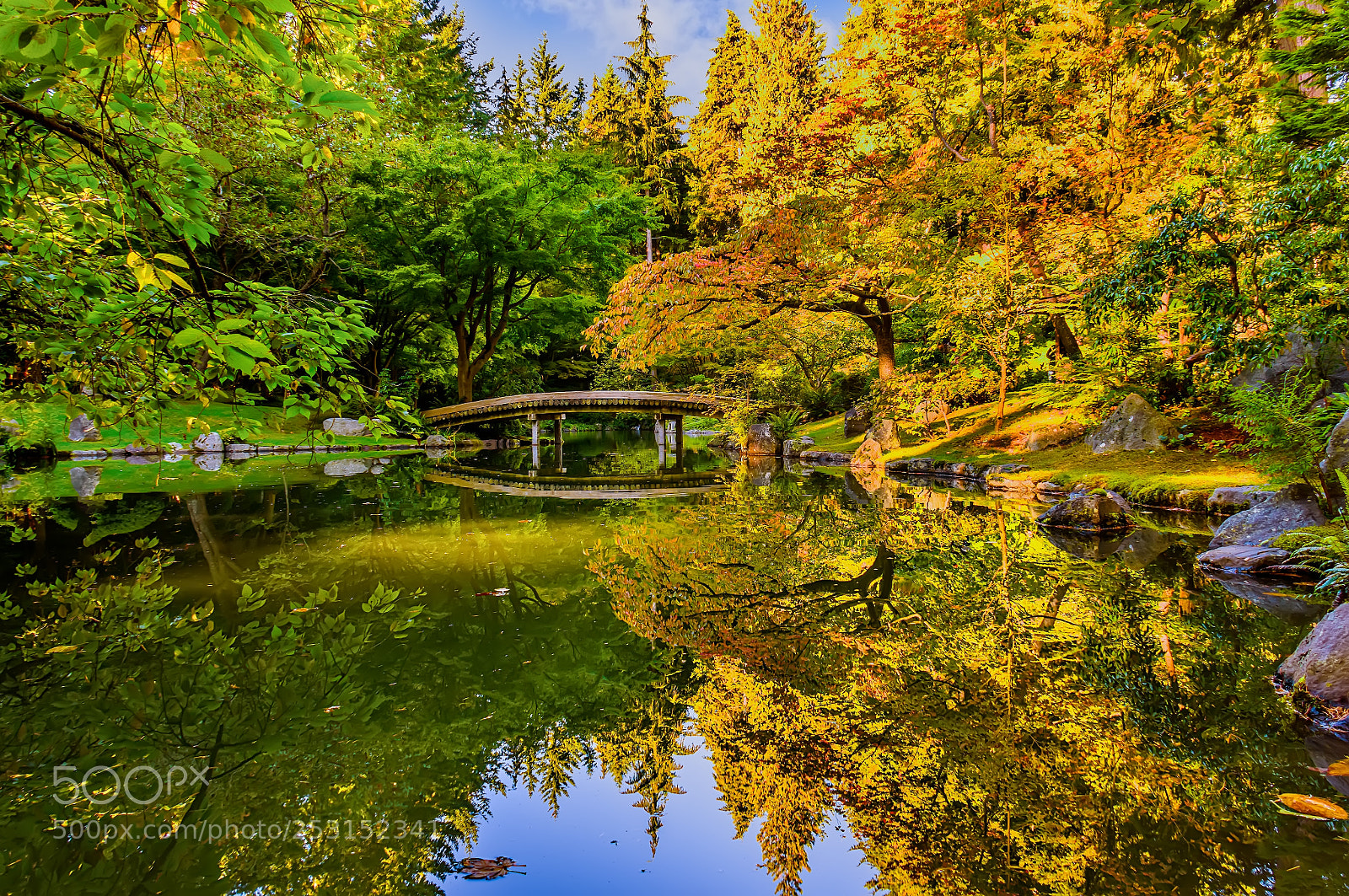 Nikon D810 sample photo. Fall in japanese garden photography