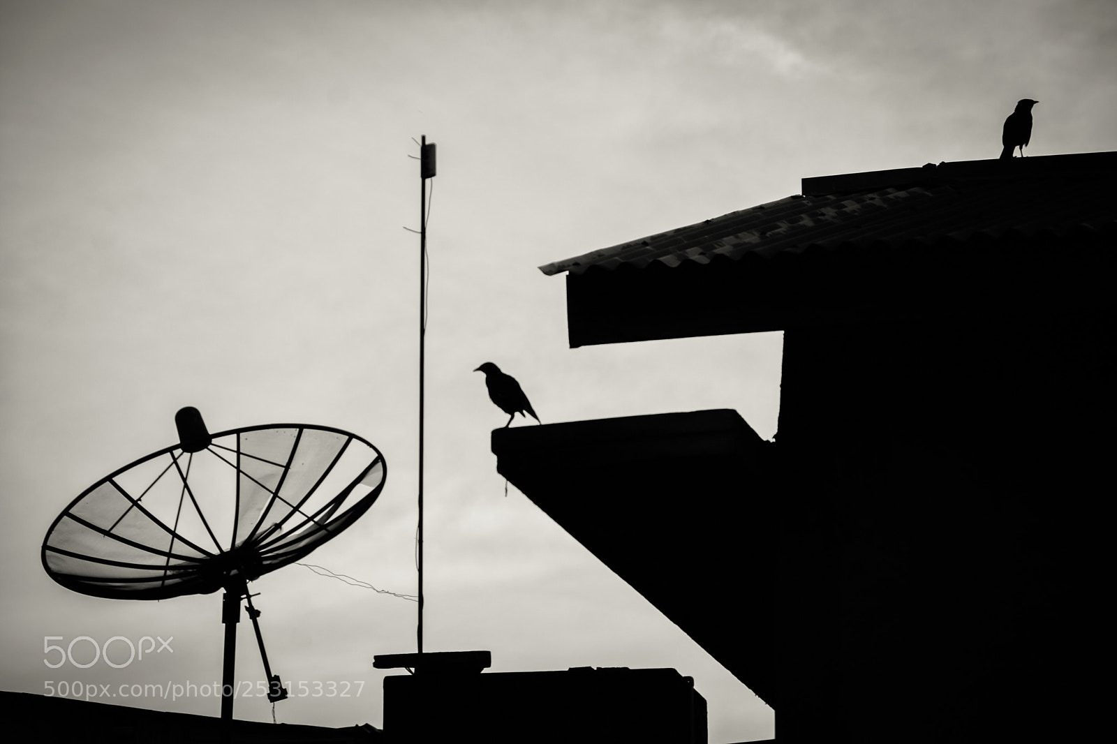 Nikon D7100 sample photo. Met but opposite photography