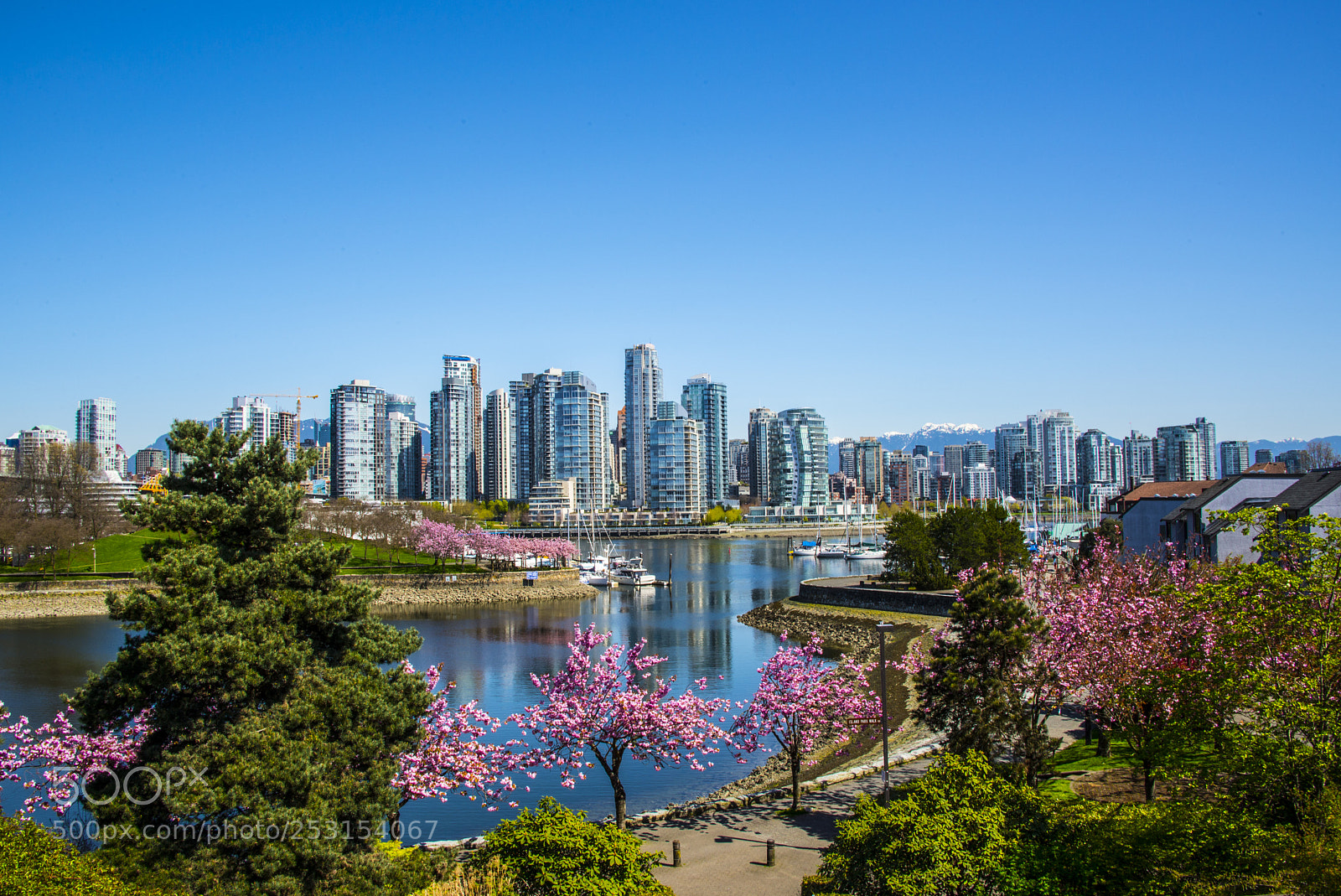 Nikon D600 sample photo. False creek photography