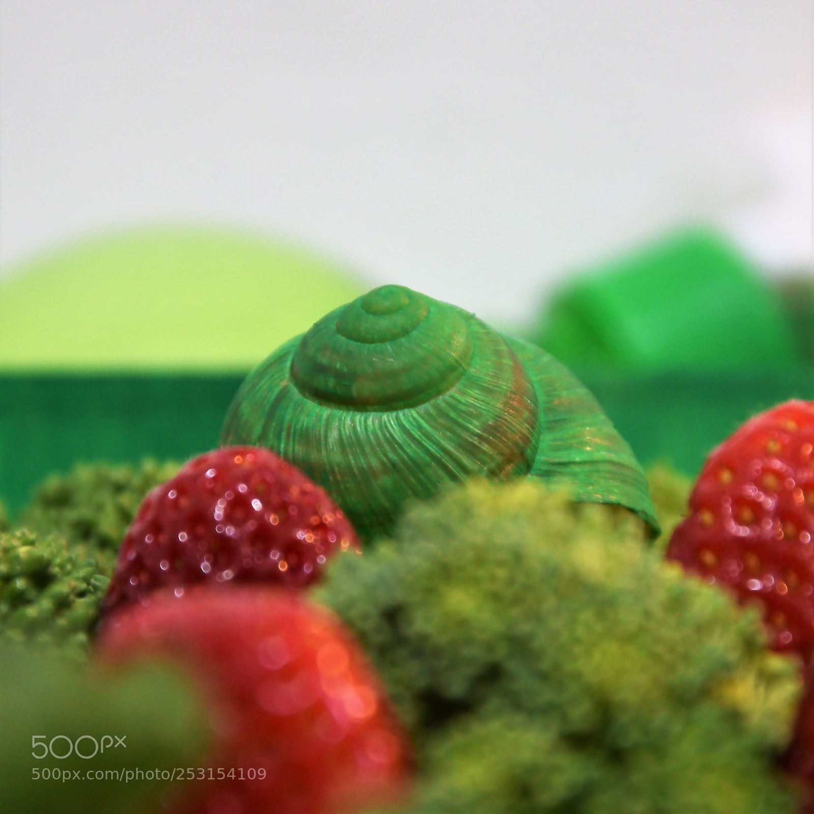 Nikon D3300 sample photo. Snail n green, vegetables photography