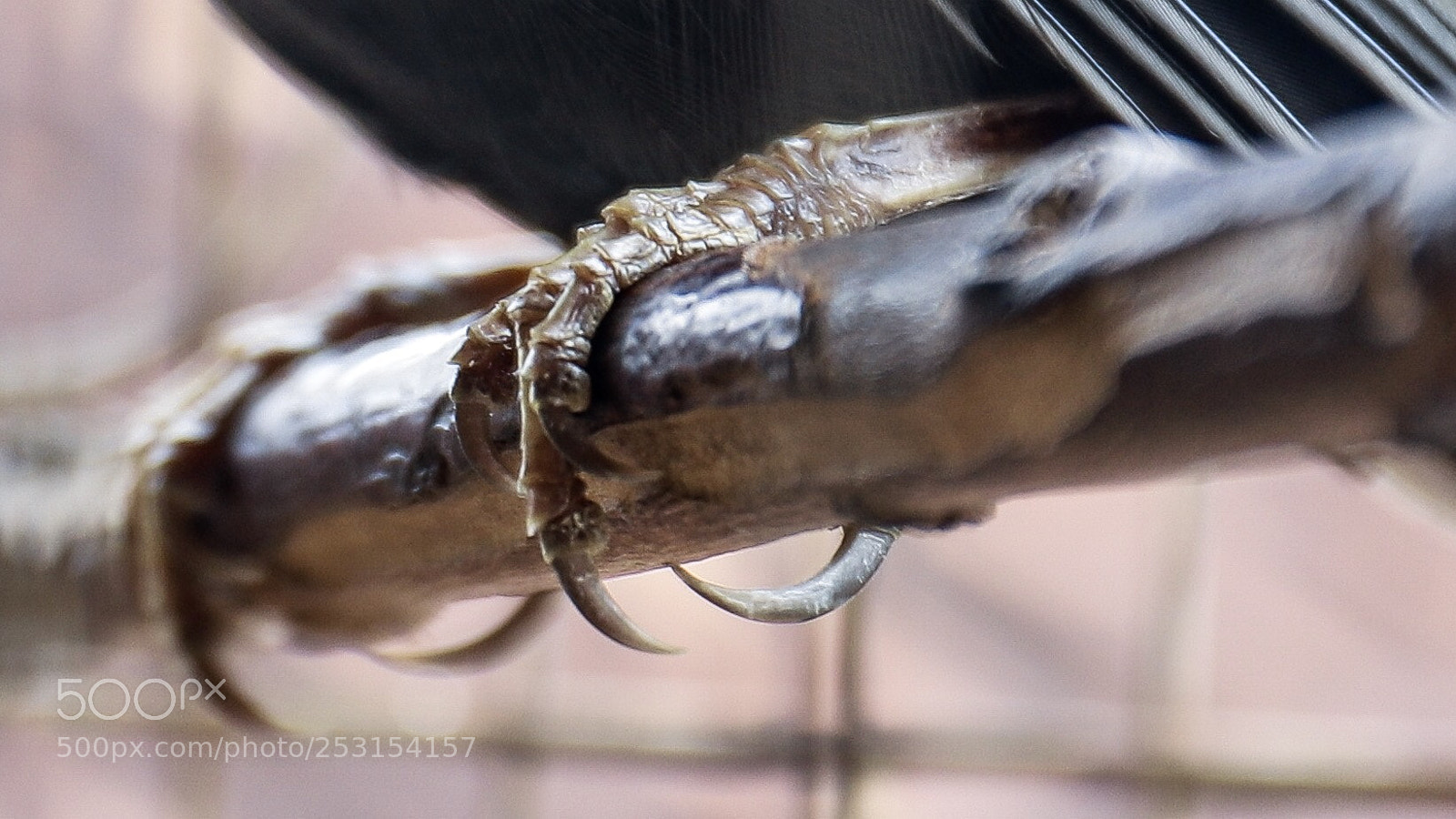 Canon EOS 6D Mark II sample photo. Untitled photography