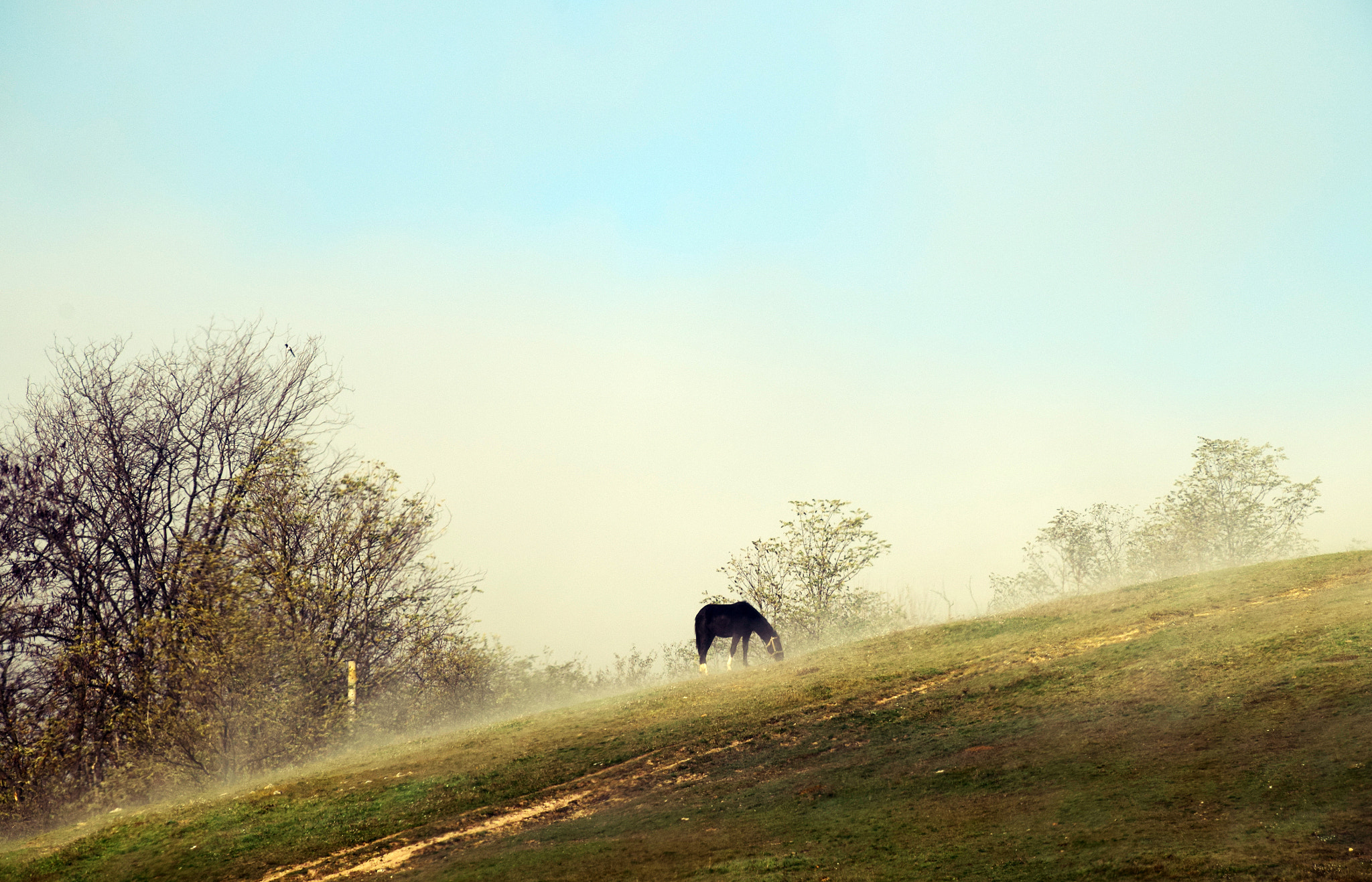 Nikon D3300 sample photo. Calming view photography