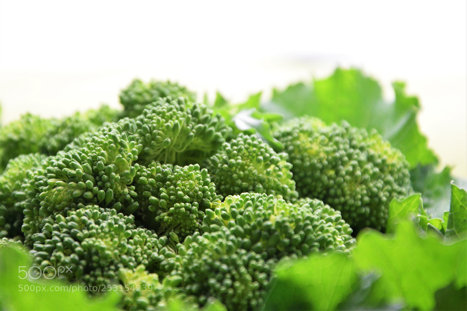 Nikon D3300 sample photo. Green vegetable, turnip tops photography