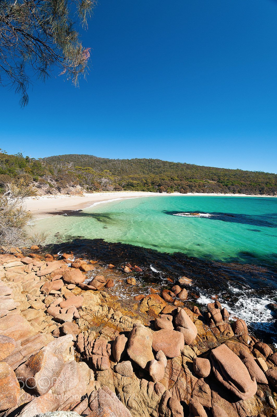 Nikon D5000 sample photo. Moreys bay | schouten island photography