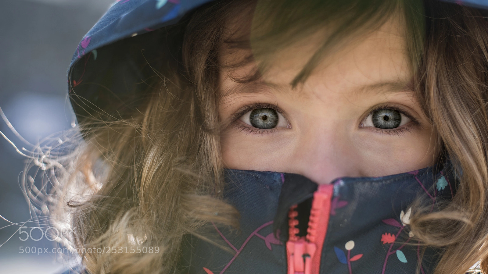 Nikon D810 sample photo. T h t h photography