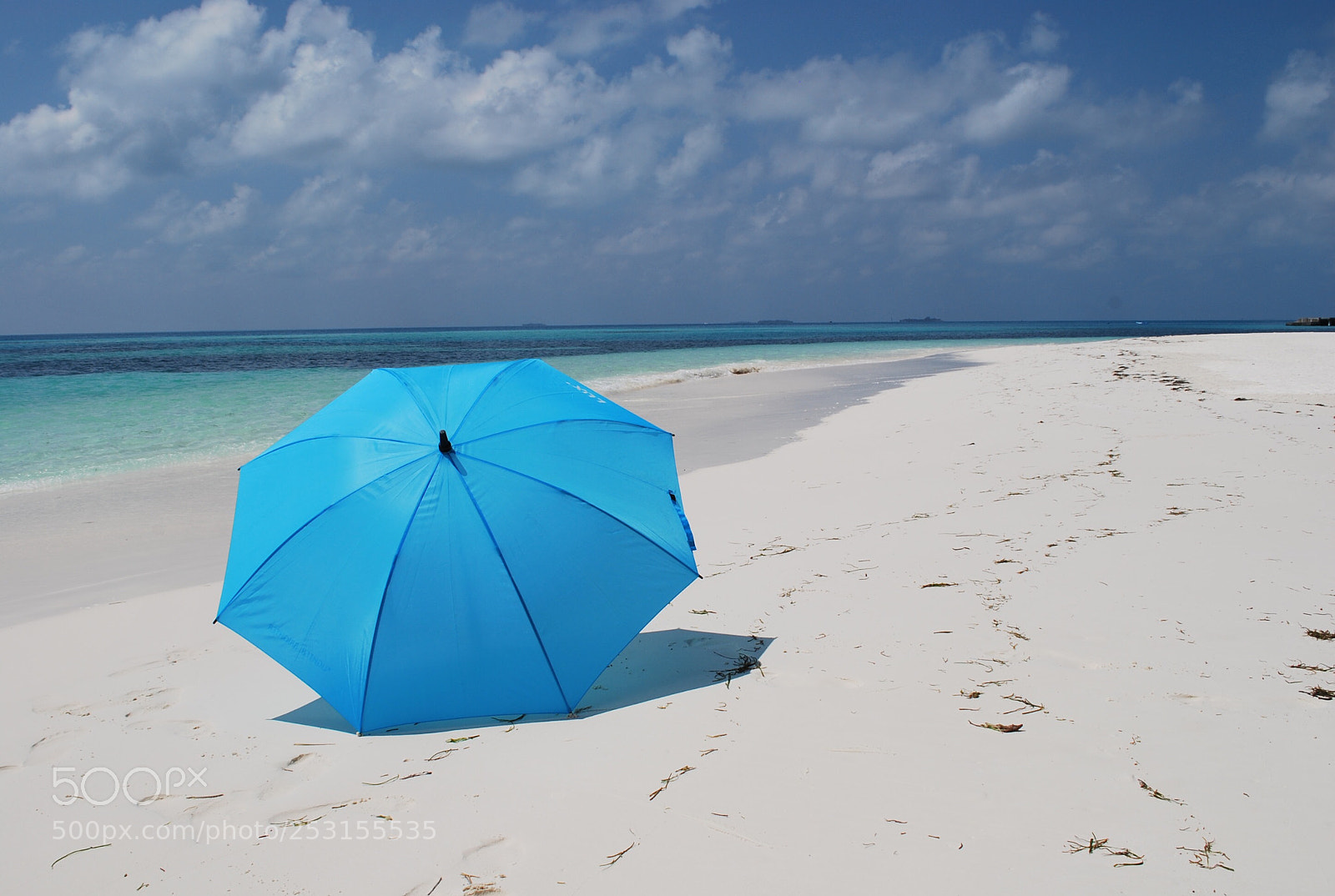 Nikon D60 sample photo. Blue photography