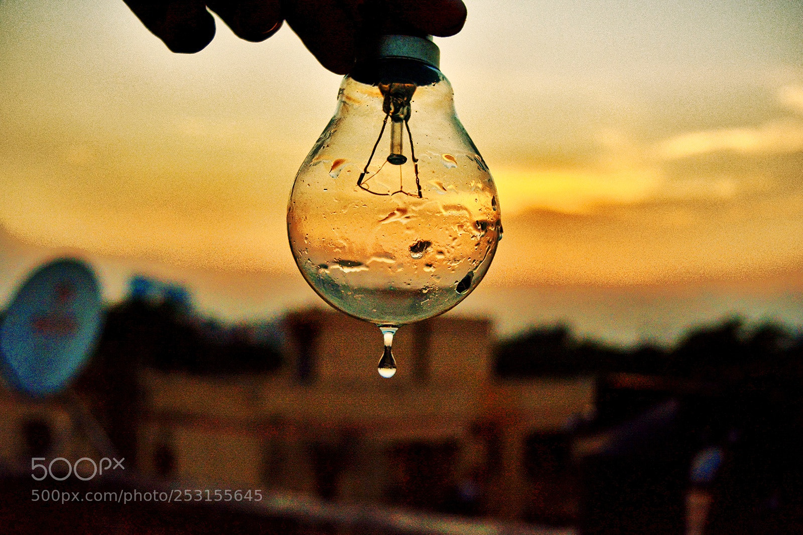 Nikon D5200 sample photo. Untitled photography