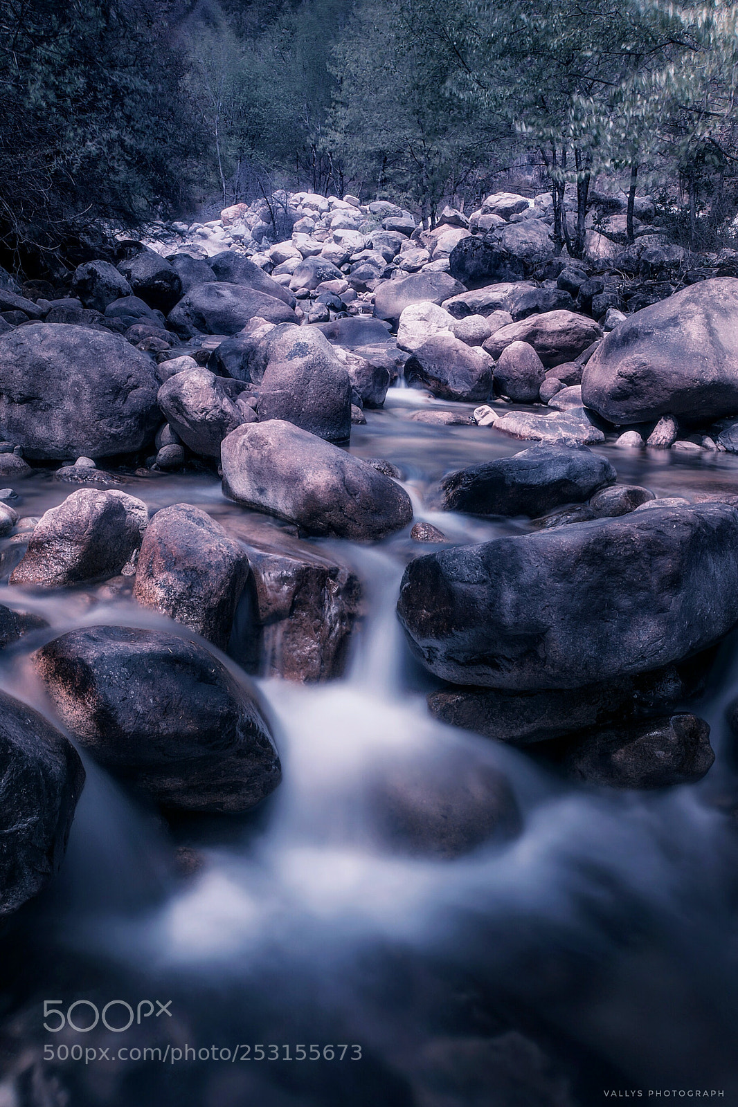 Sony Alpha NEX-7 sample photo. The flowing moonlight photography