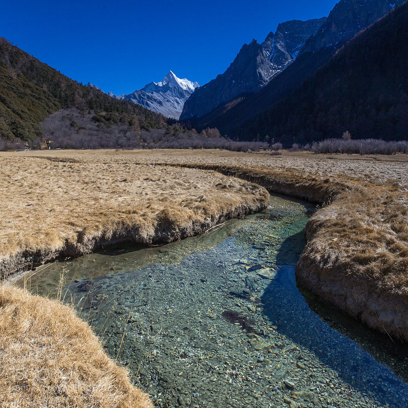 Canon EOS-1D X sample photo. S curve photography