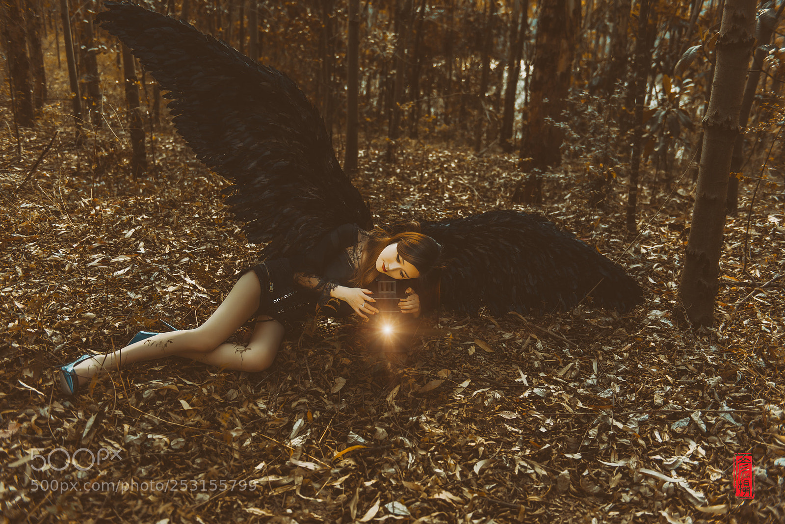Nikon D800 sample photo. Untitled photography