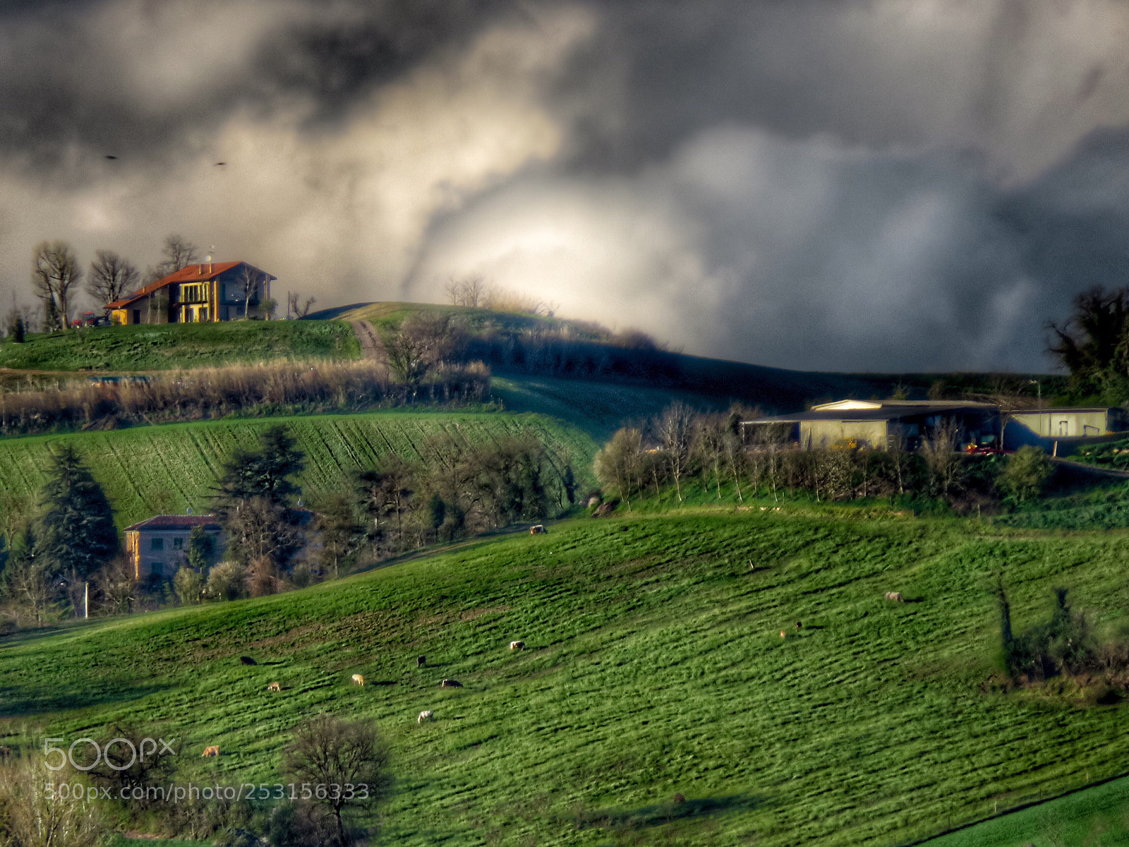 Canon PowerShot SX60 HS sample photo. Colline del monferrato ii photography